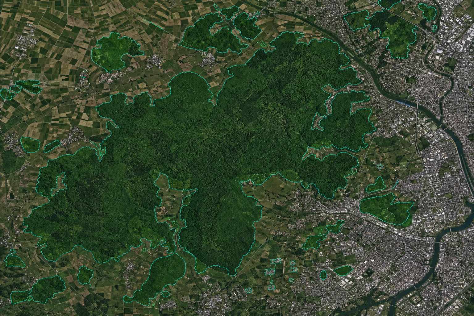 林地提取